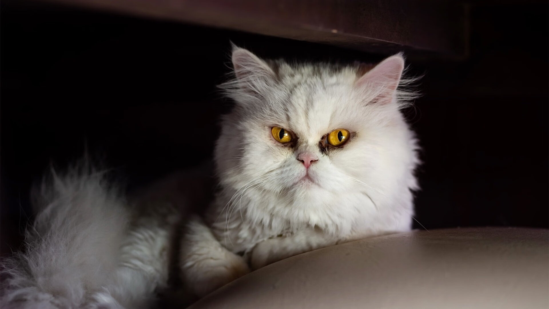 爱游戏官方主页-中国青少年篮球“青训计划”持续推进,基层得益明显,《中国青少年篮球训练教学大纲》