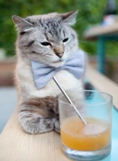 爱体育娱乐入口-“西甲焦点：豪门对决火花四溅，胜者即将锁定榜首”，豪门联赛