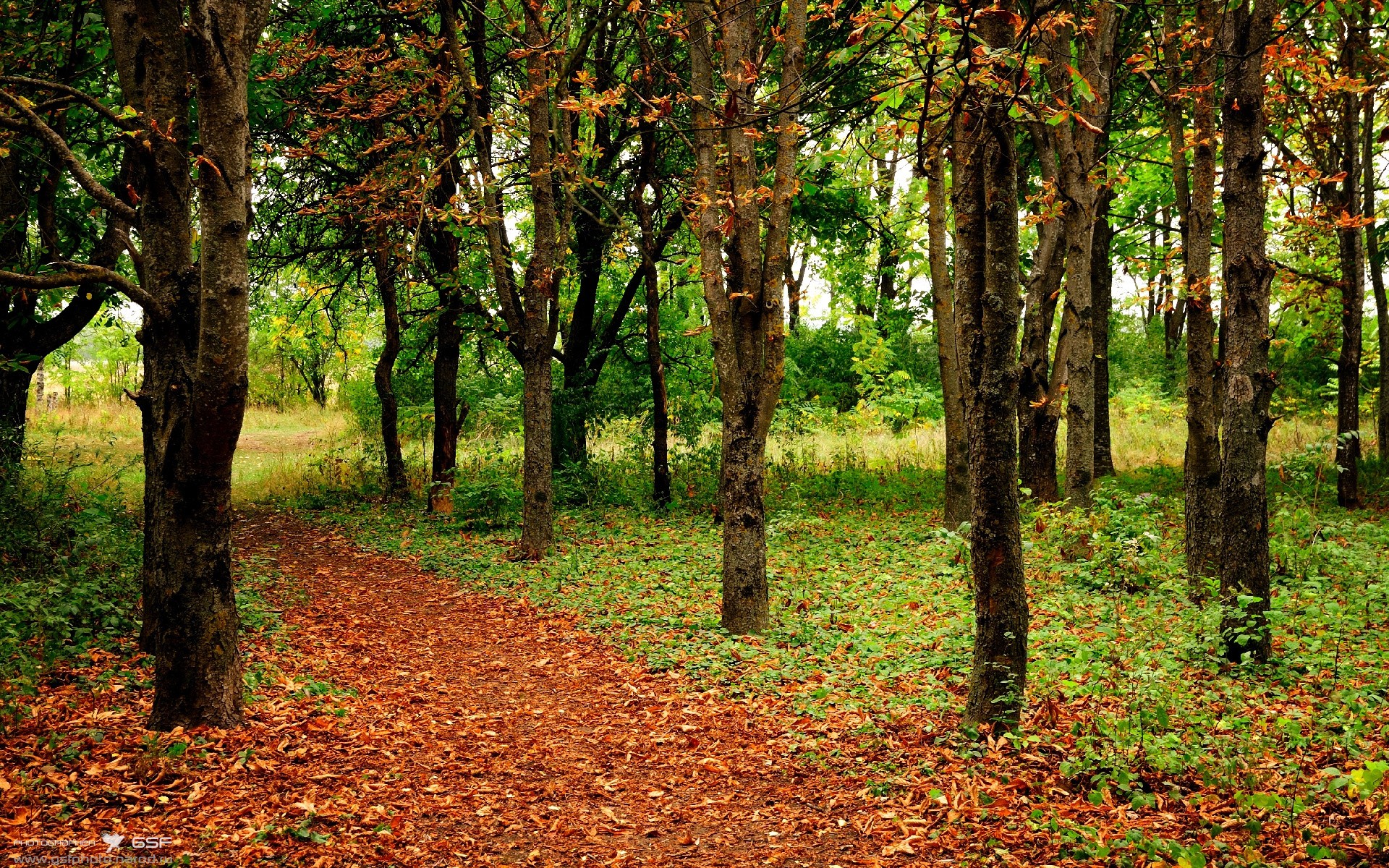 爱游戏-世界马术锦标赛中国选手创佳绩，跻身前十，世界马术协会